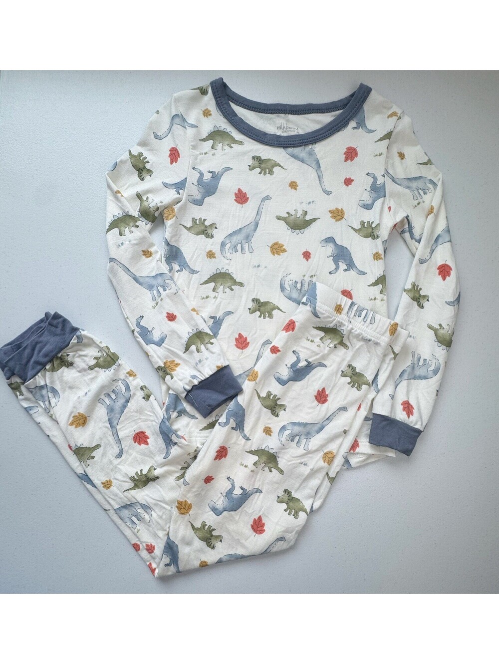 Milkberry Bamboo Dinosaur 2 Piece Pajama Set Size 4T